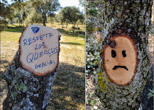porque 2