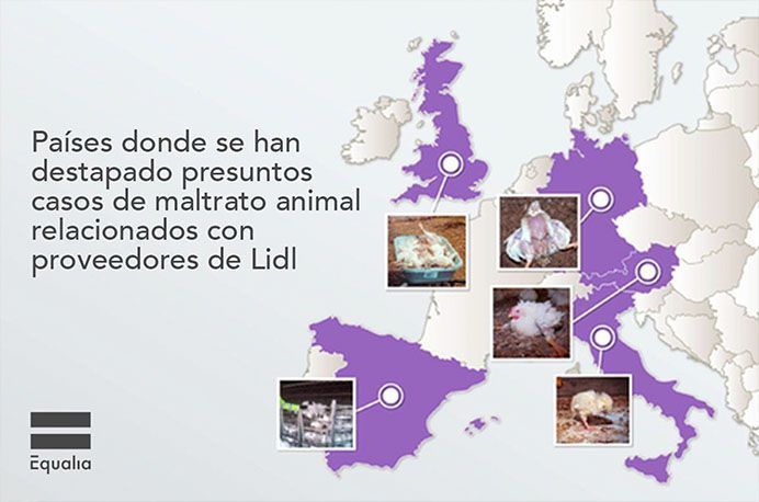 Equalia paises art 20 jun