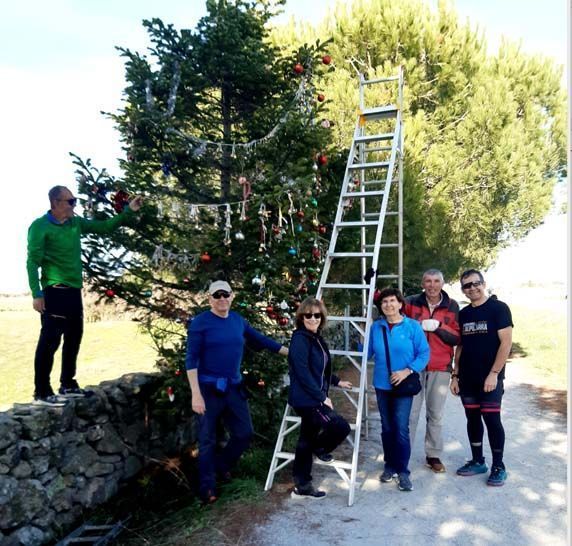 Art arbol cremedios 4