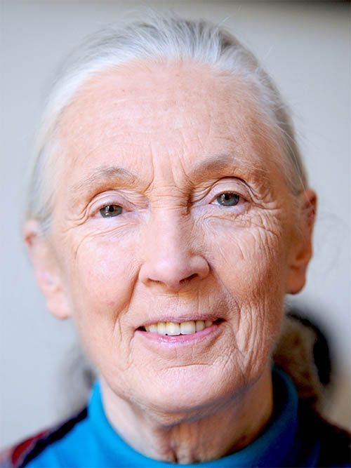 Jane Goodall Wikipedia