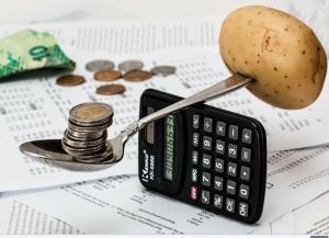 Economía doméstica