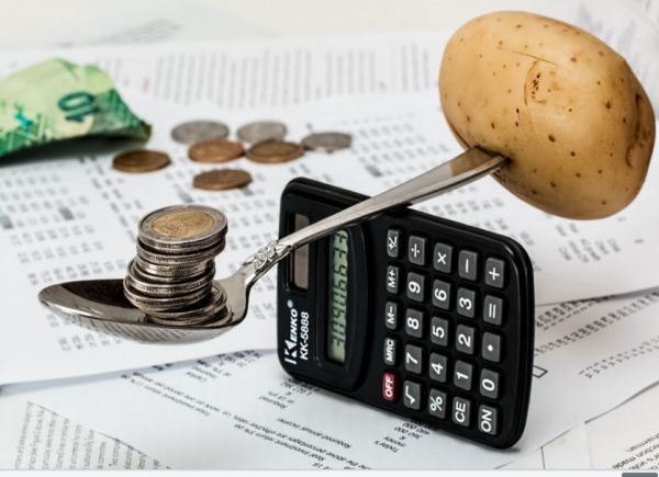 Economía doméstica