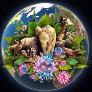 ULTIMÁTUM A LOS HUMANOS