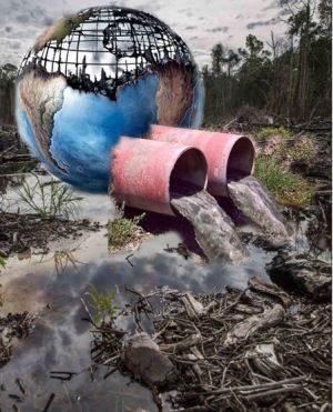 El agua: un bien universal