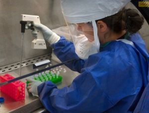 Pandemia