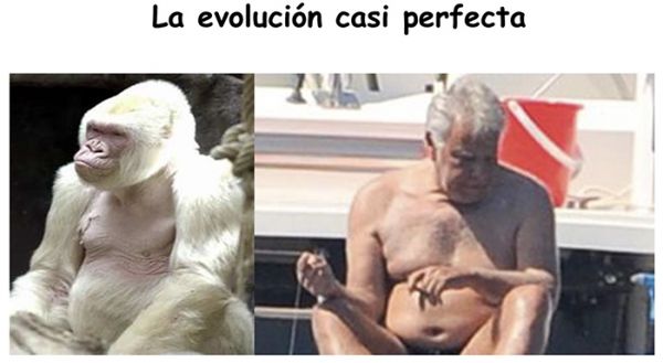 El franquismo evolutivo