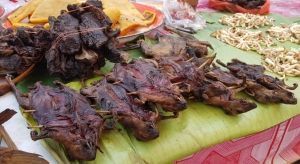PROHÍBAN LOS MERCADOS DE VIDA SILVESTRE TANTO PARA CONSUMO COMO PARA MEDICINA NATURAL.