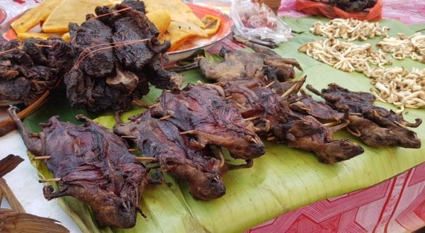 PROHÍBAN LOS MERCADOS DE VIDA SILVESTRE TANTO PARA CONSUMO COMO PARA MEDICINA NATURAL.
