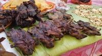 PROHÍBAN LOS MERCADOS DE VIDA SILVESTRE TANTO PARA CONSUMO COMO PARA MEDICINA NATURAL.