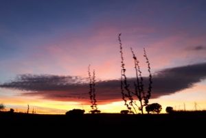 EXPLORA, SUEÑA, DESCUBRE