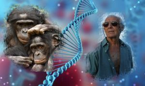 Se solicita que las siete especies de grandes simios sean incluidas en el Proyecto Pangenoma