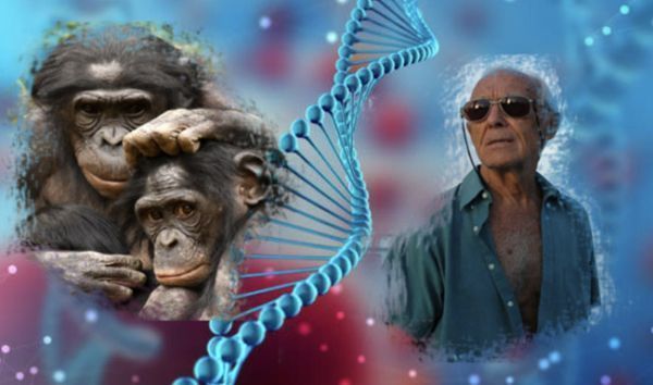 Se solicita que las siete especies de grandes simios sean incluidas en el Proyecto Pangenoma