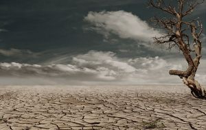 Emergencia climática: los responsables