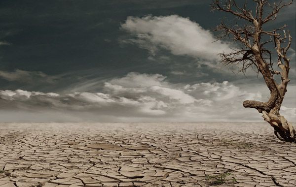 Emergencia climática: los responsables