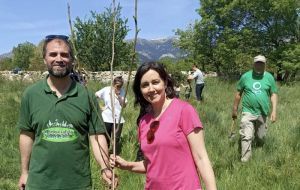 Una cadena verde