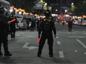LA ENSEÑA COMO ARMA