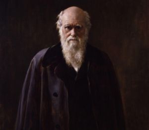 Darwinismo social