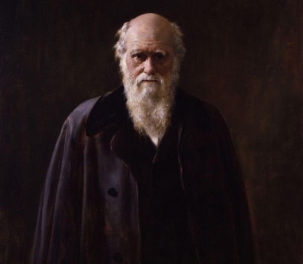 Darwinismo social