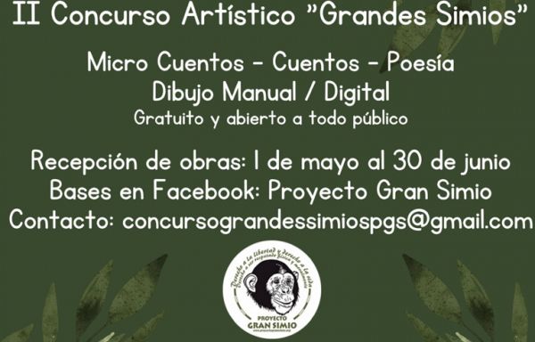 II Concurso Artístico “Grandes Simios”